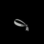 apperam4.png.jpg